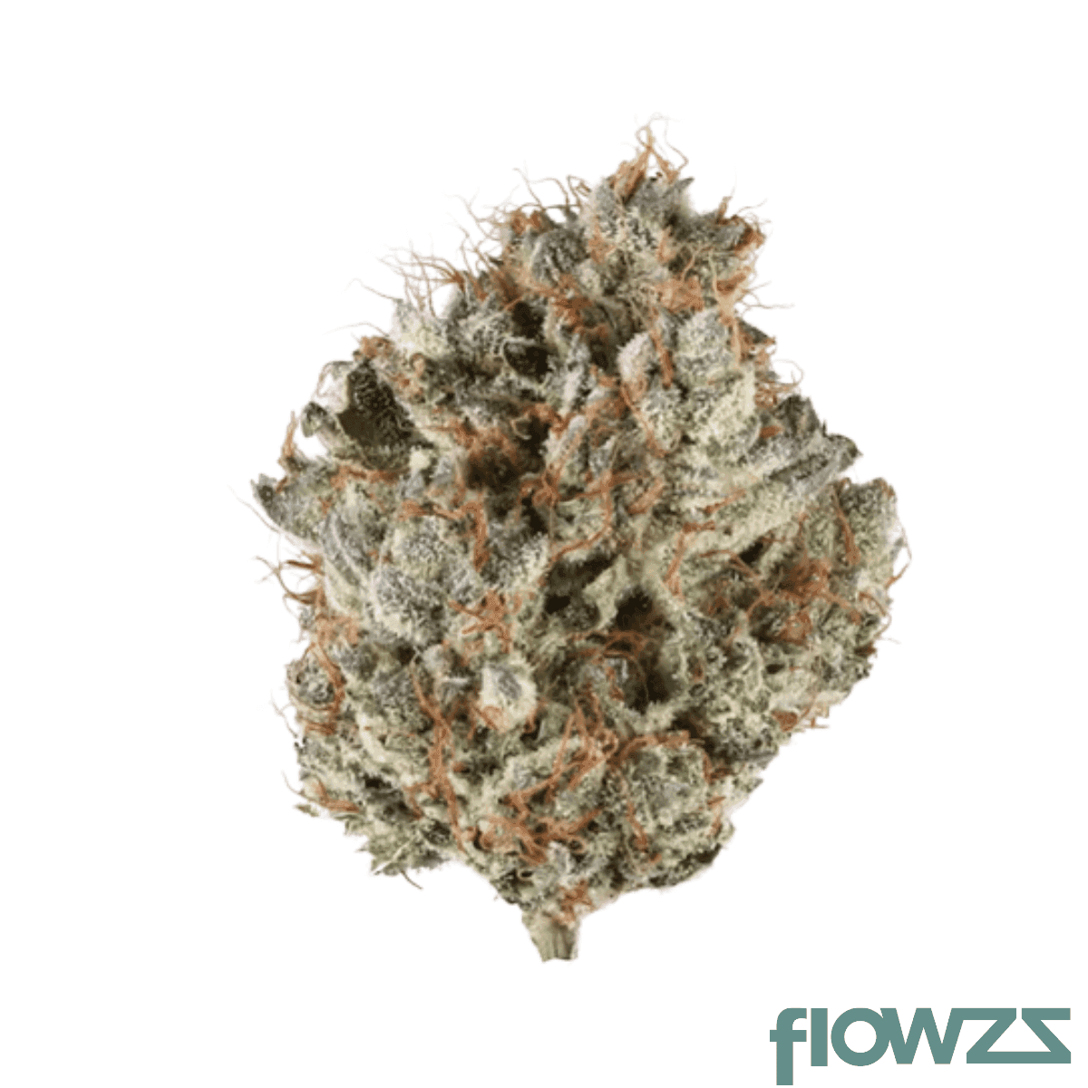 remexian-24-1-ten-cih-cinderella-haze