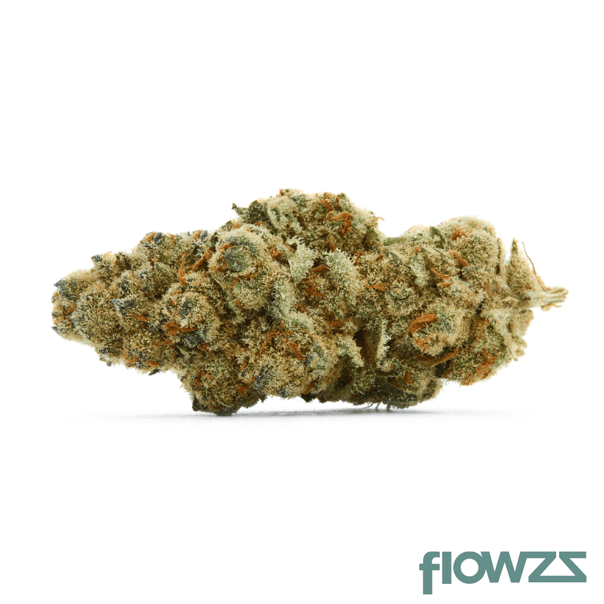 IMC EC2 THC22 El Chivo