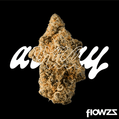 avaay-28-1-signature-waffle-bites