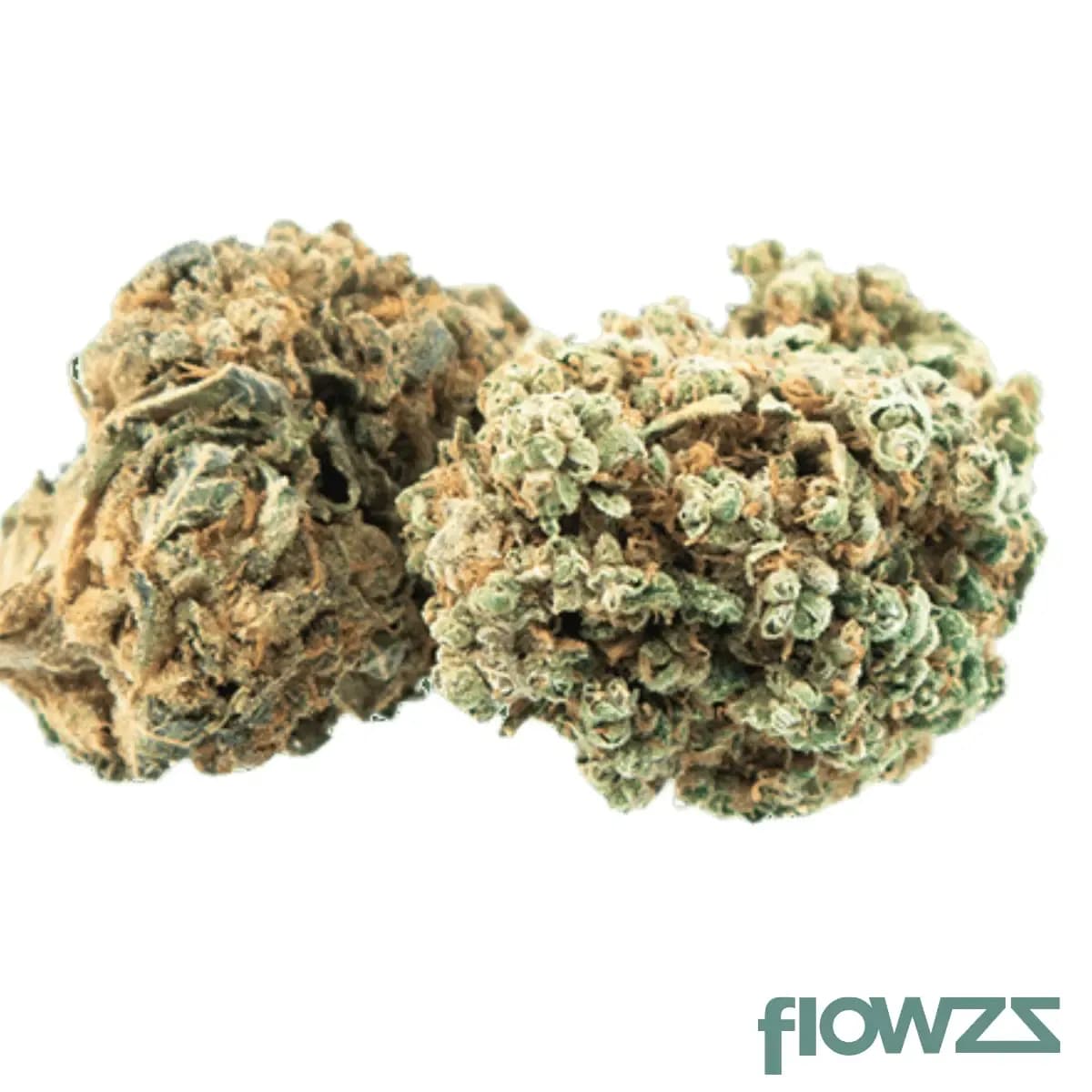 tilray-thc25-spotlight-porto-sirius-sirius