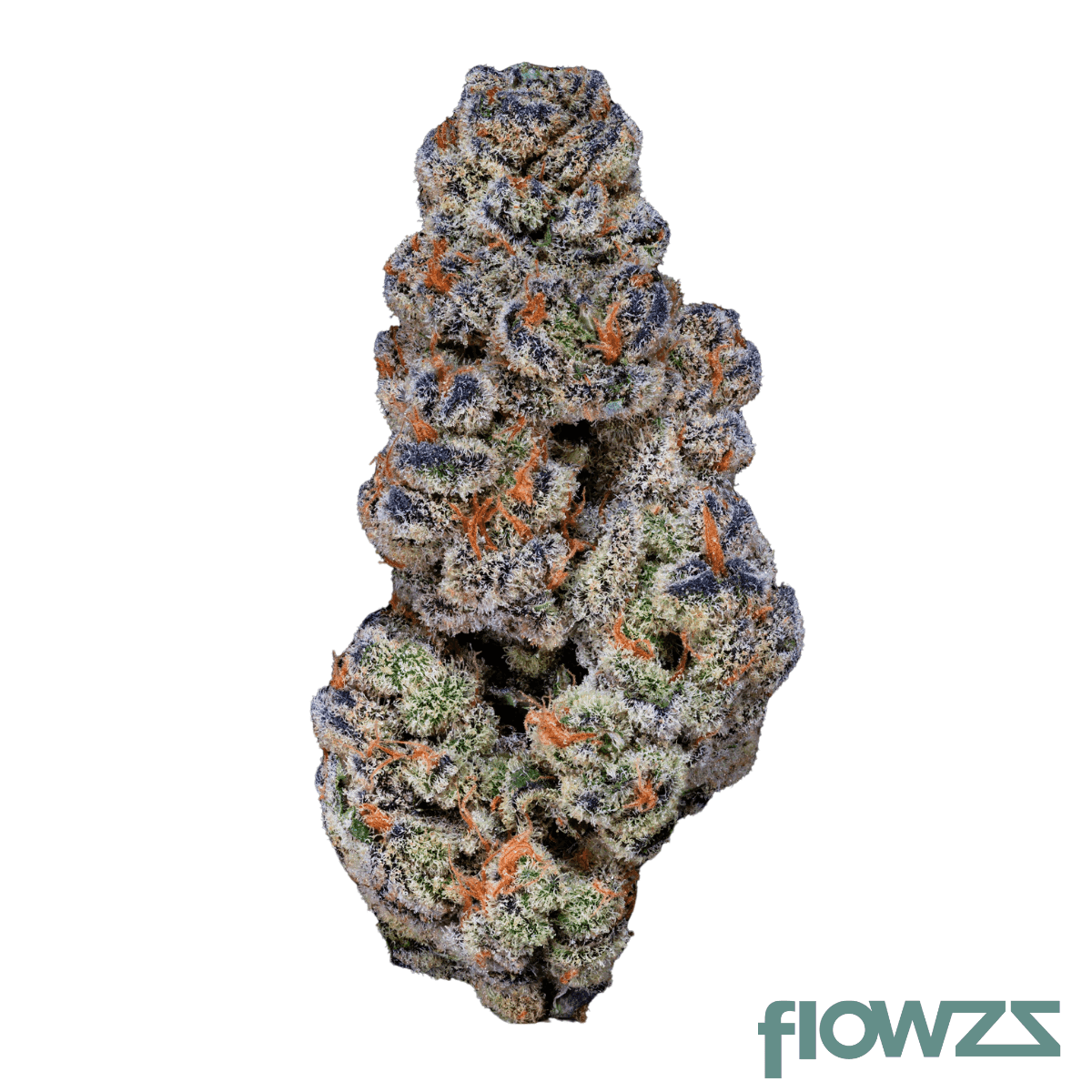 22-1-amici-bh-blueberry-headband