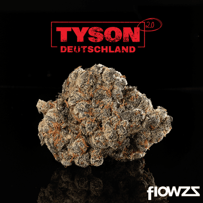 tyson-26-1-alexander-the-great