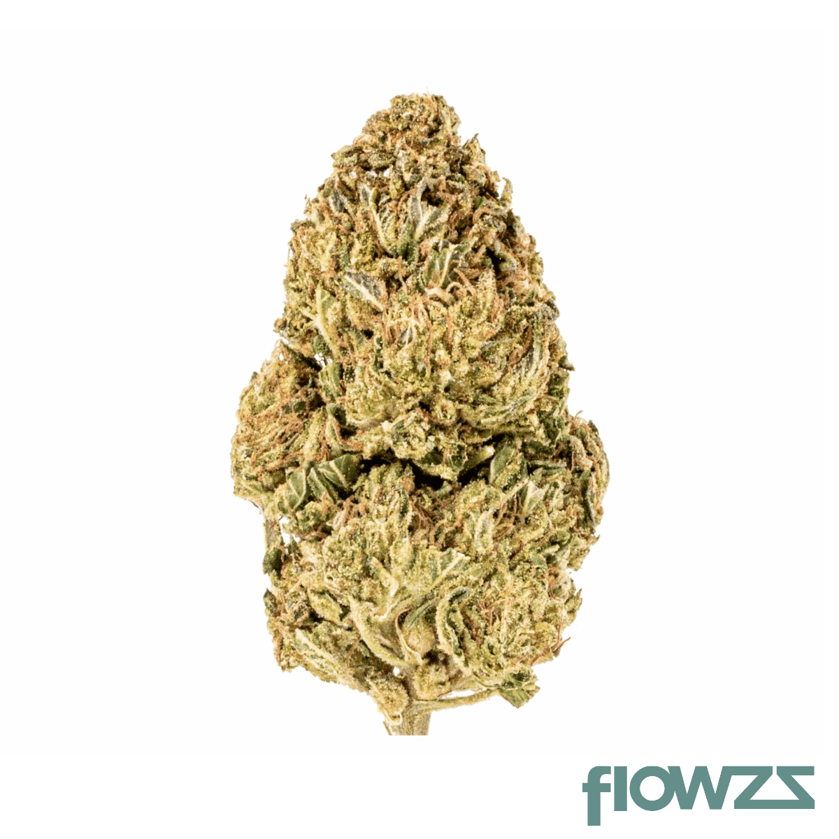 medicus-27-1-evs-cereal-milk