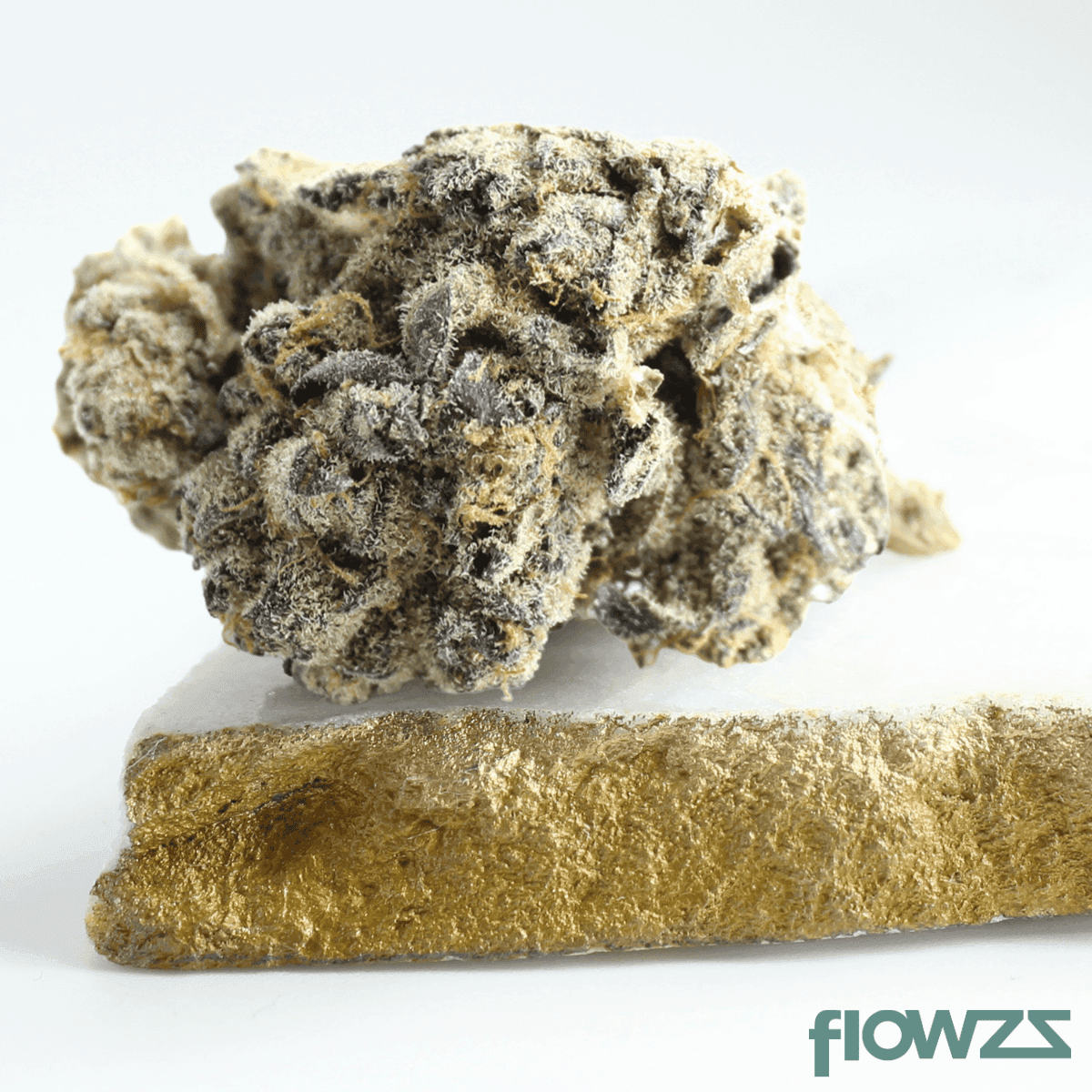 grünhorn-sck-27-1-scottis-cake