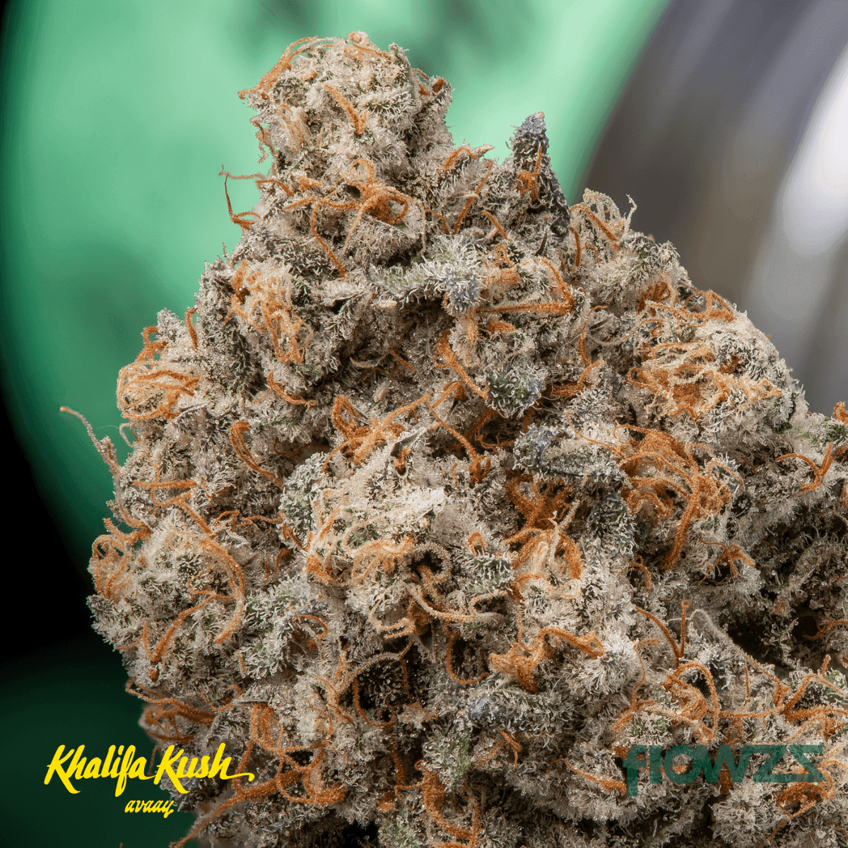 avaay-khalifa-28-1-km-khalifa-mints_gal3