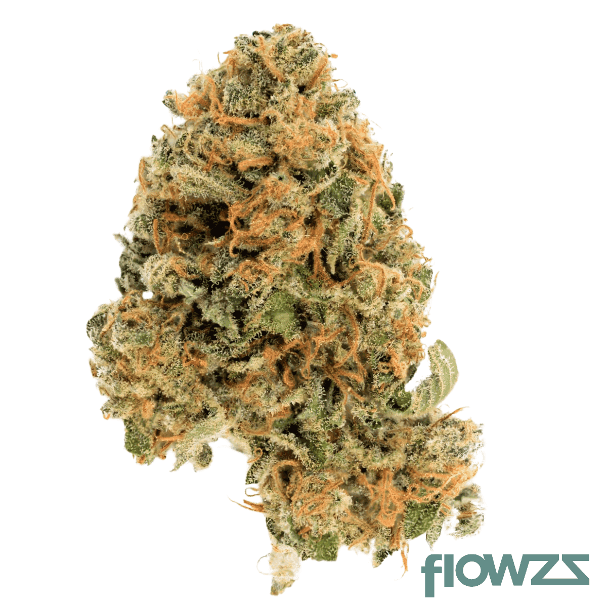 cannamedical-hybrid-ultra-dk-ghost-train-haze