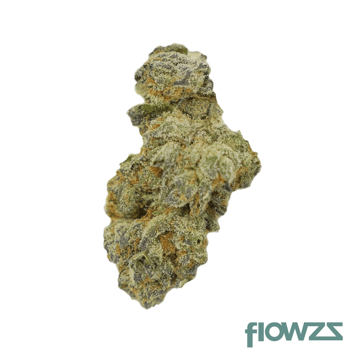 remexian-30-1-bnm-bananimal