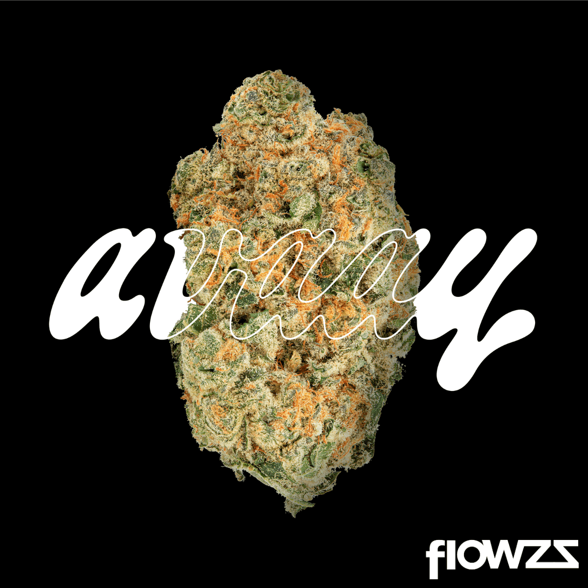 avaay-30-1-mim-midnight-mimosa