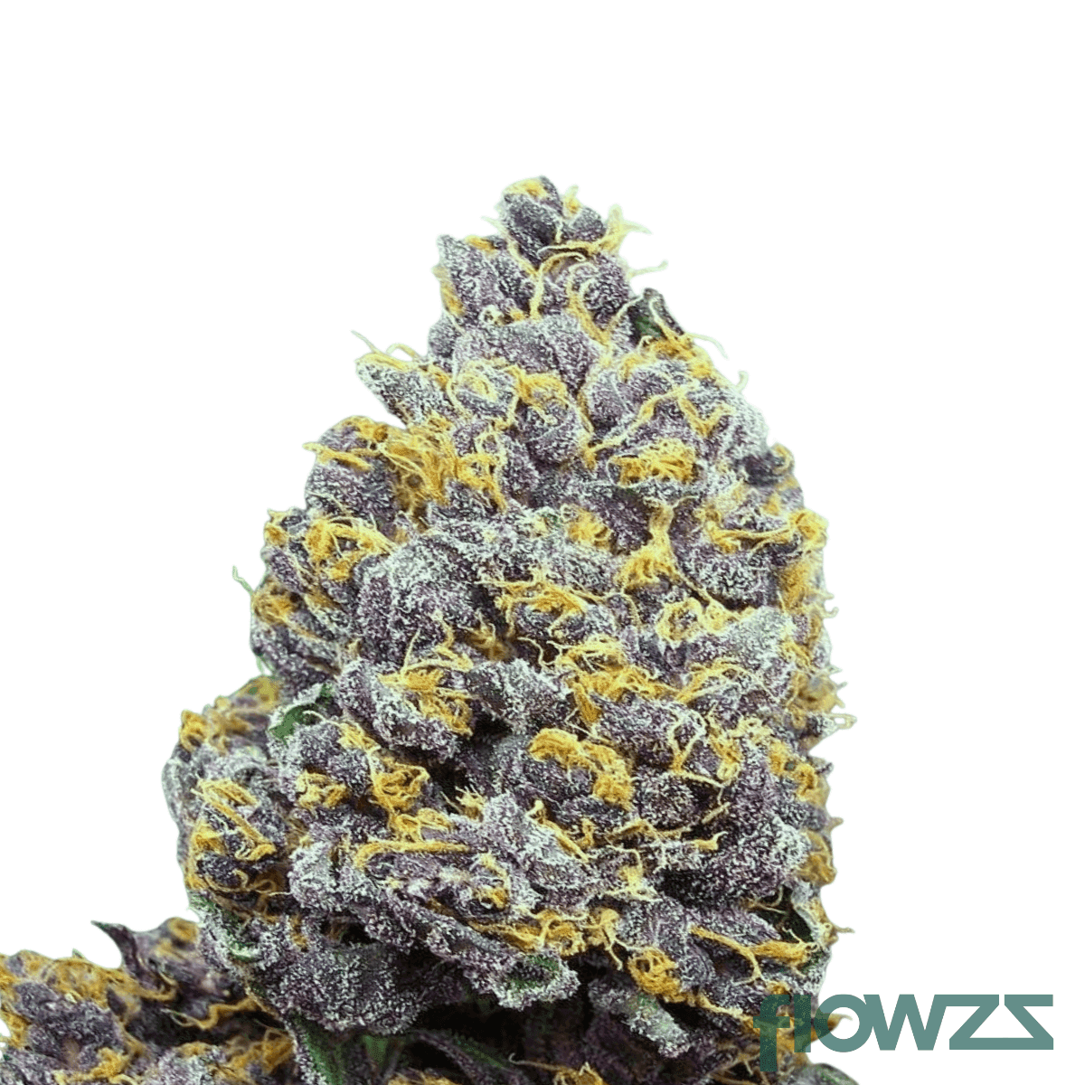 GG4-Blueberry-cannabis-strain