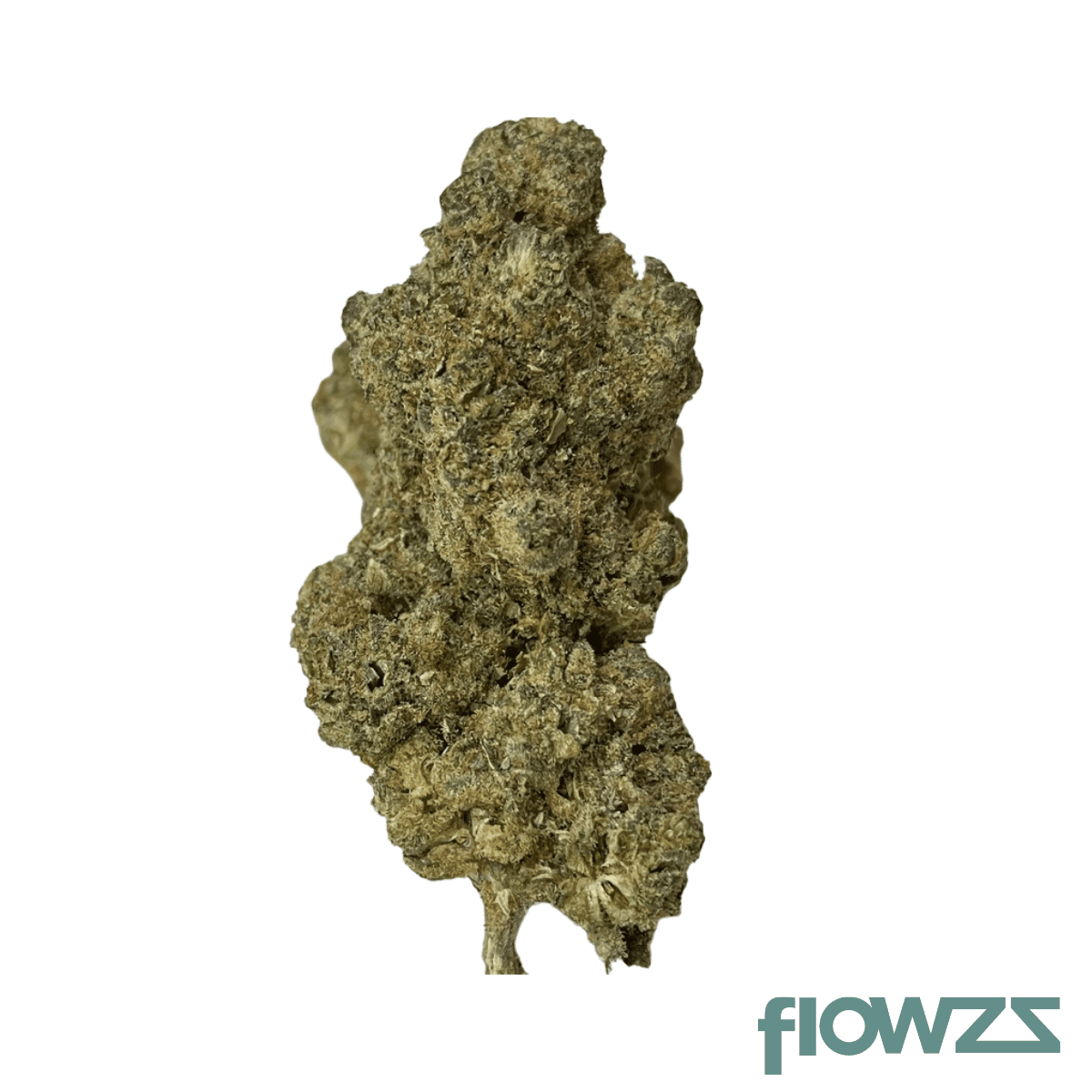 remexian-24-1-prt-mcr-motor-crasher