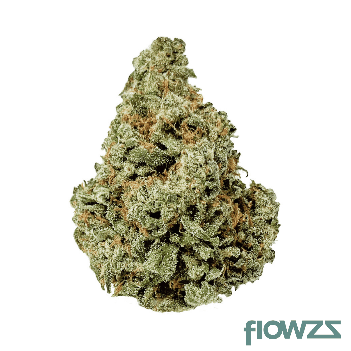 cannovum-natura-25-1-vivid