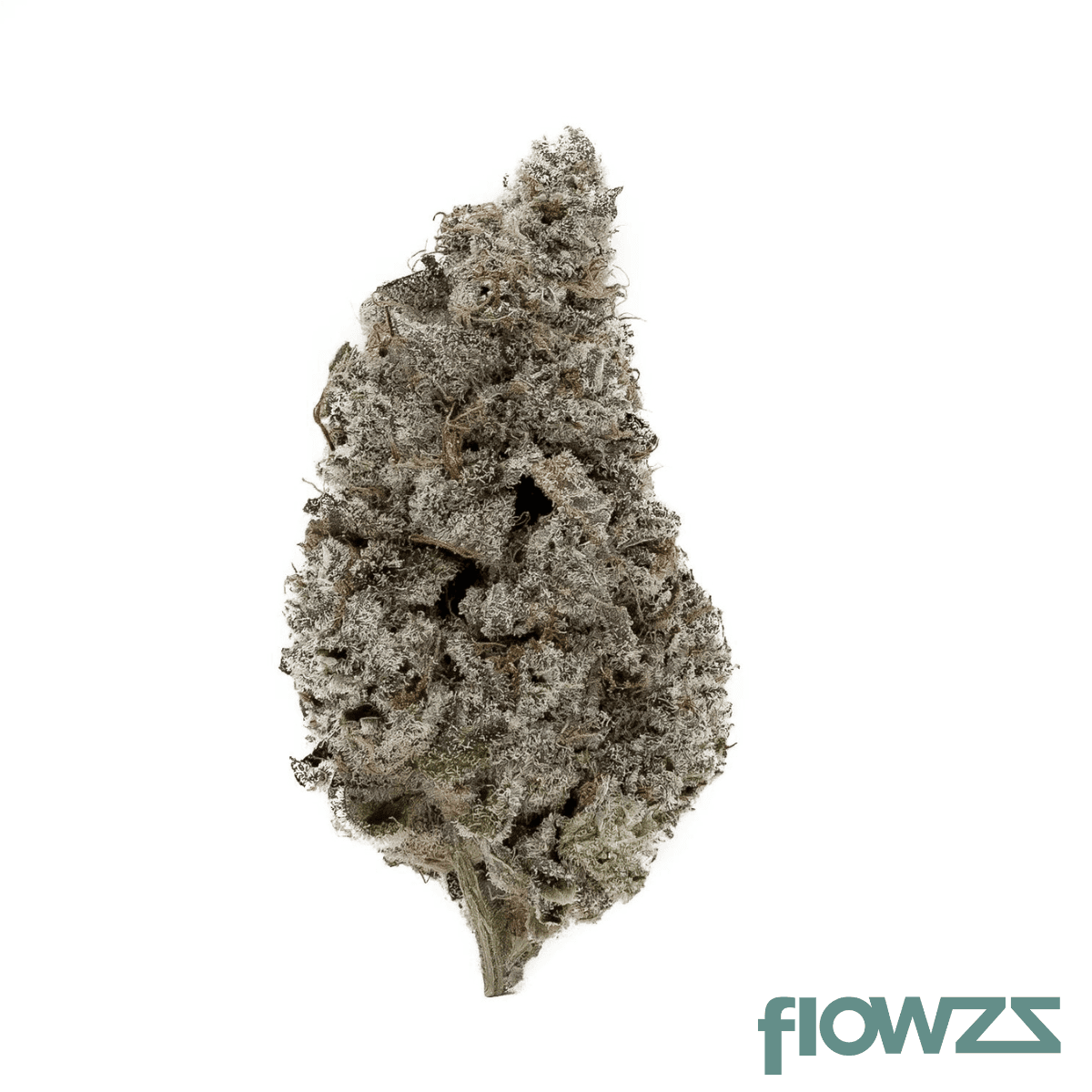 cannamedical-indica-classic-nm-sugar-bomb-punch