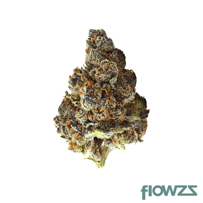 avaay-28-1-gnc-grapes-and-cream