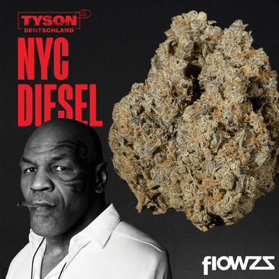  NYC Diesel
