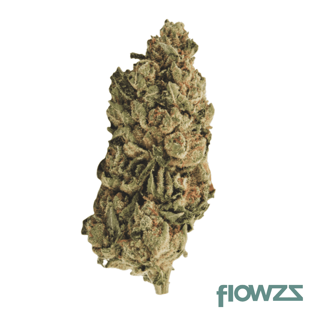 truhc-ll-22-legendary-larry