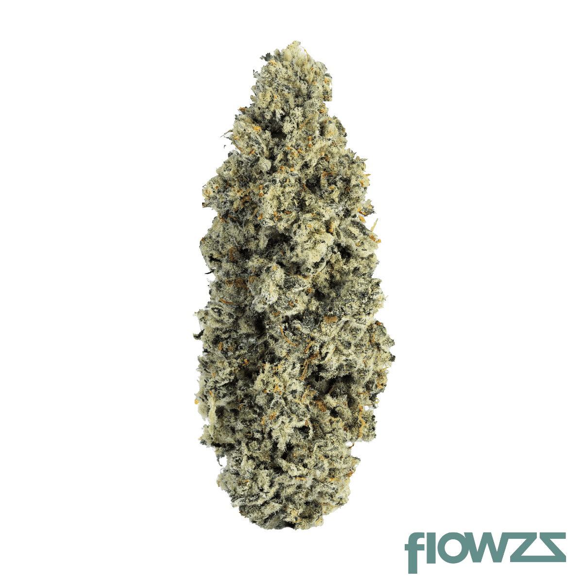 cnbs-cpj-31-1-cap-junky