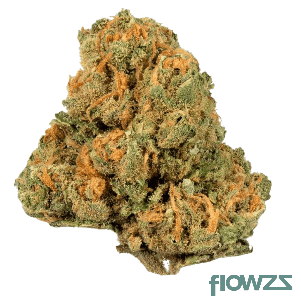 drapalin-21-1-jack-herer