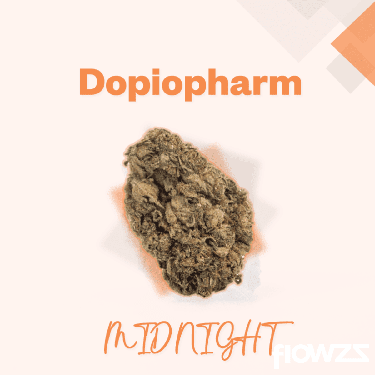 tikun-midnight-10-14