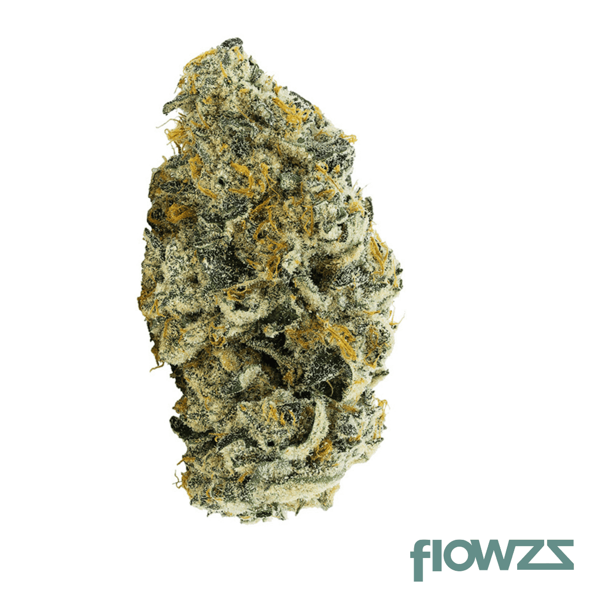 big-dreams-21-1-psf-t20