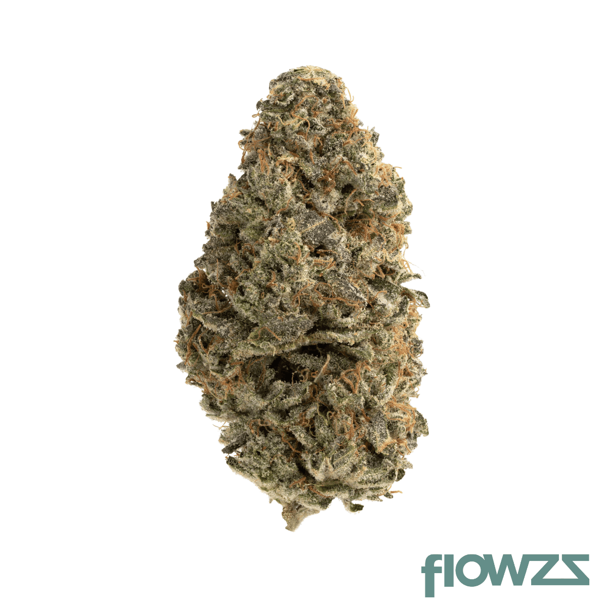 remexian-27-1-trf-chm-pink-champagne