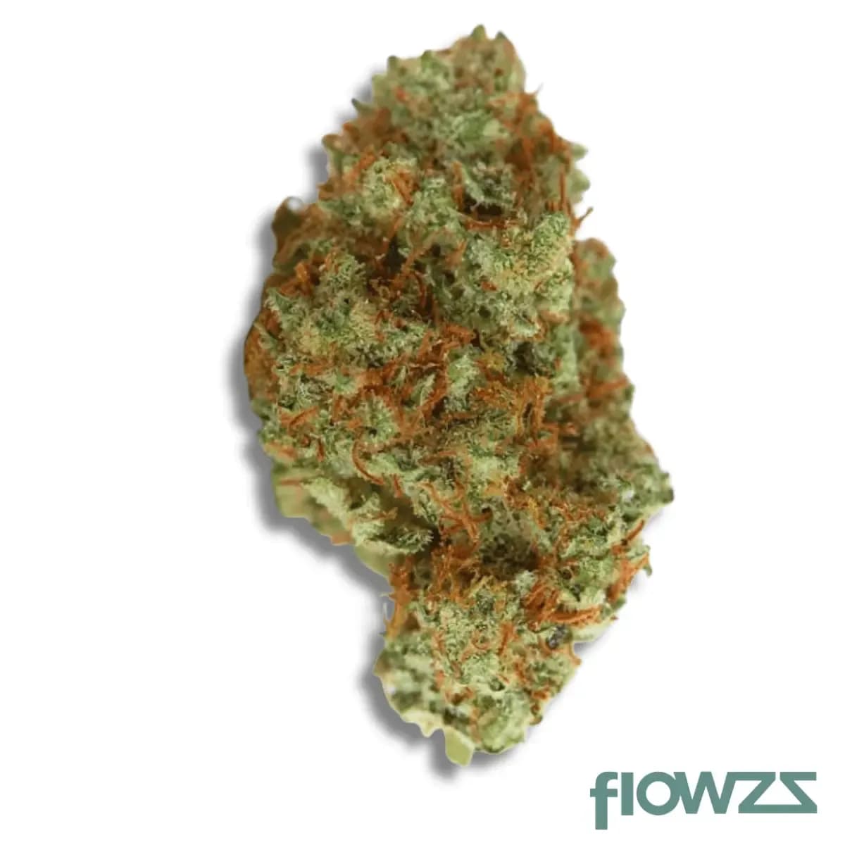 cherryco-23-01-gog-k-gelato-og