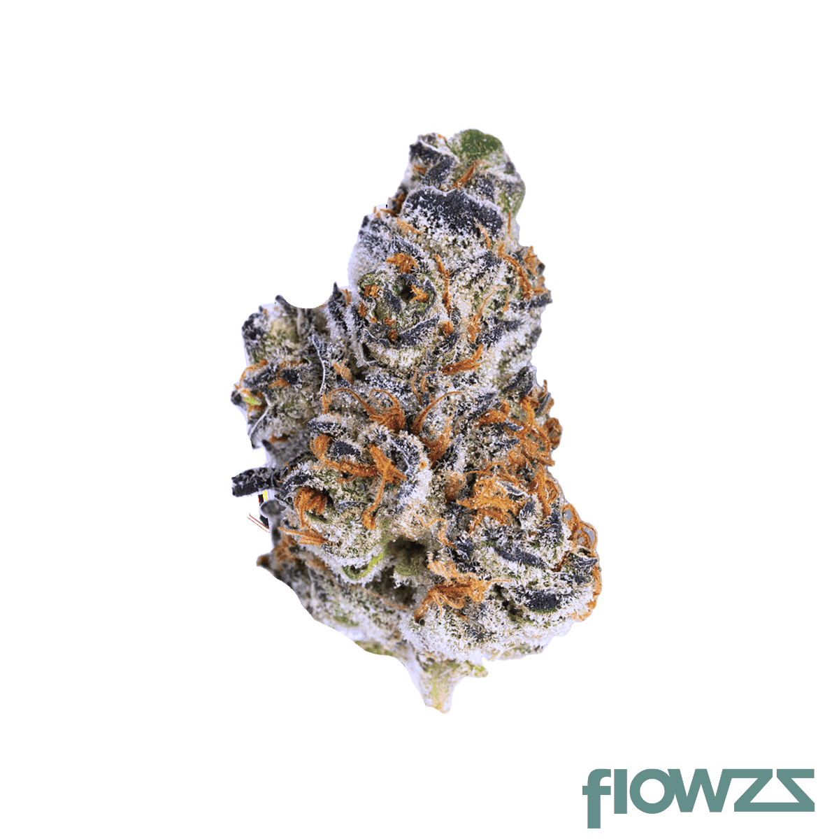 northbound-25-1-gab-garlic-breath