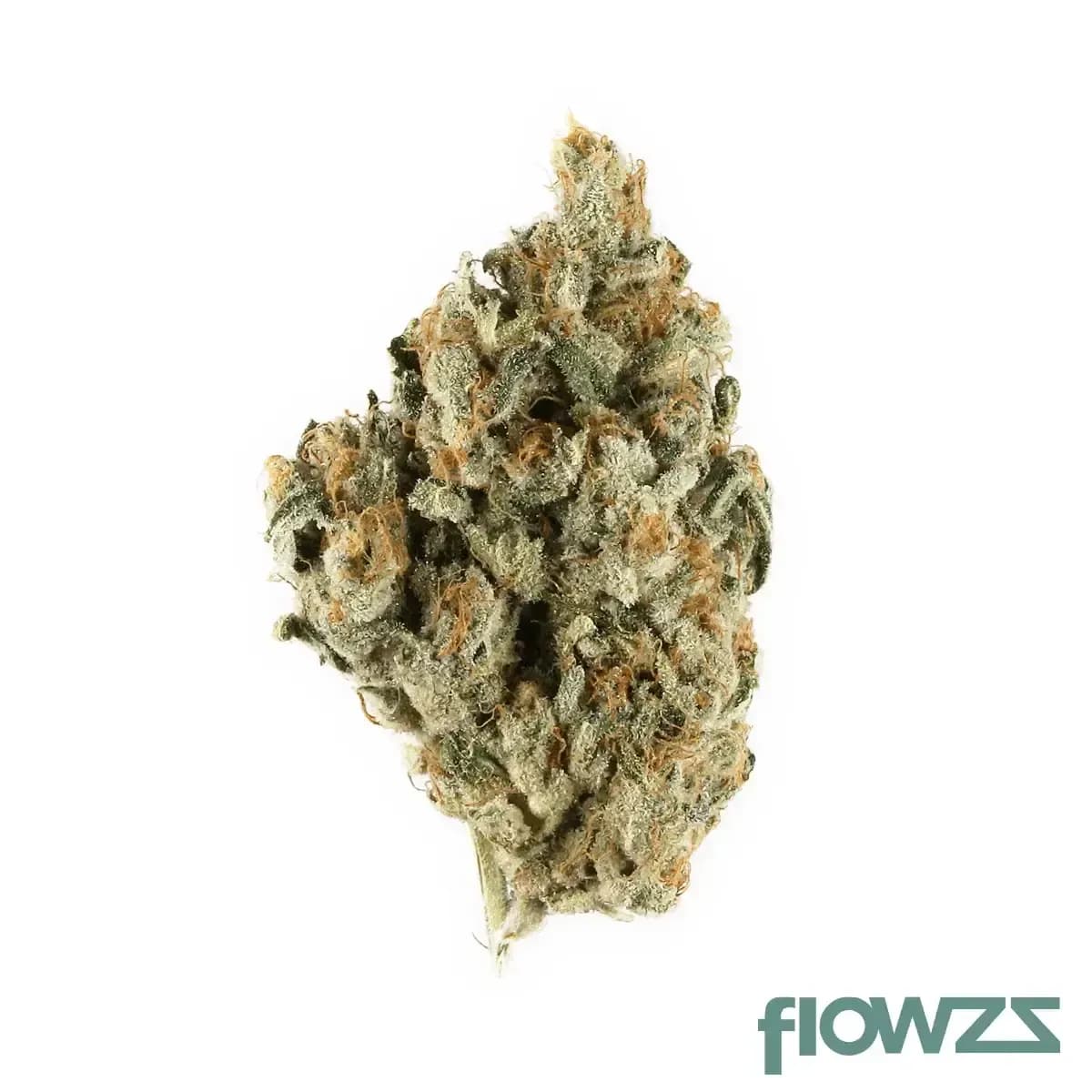 good-supply-cannabisblueten-thc22-swk-skywalker-kush