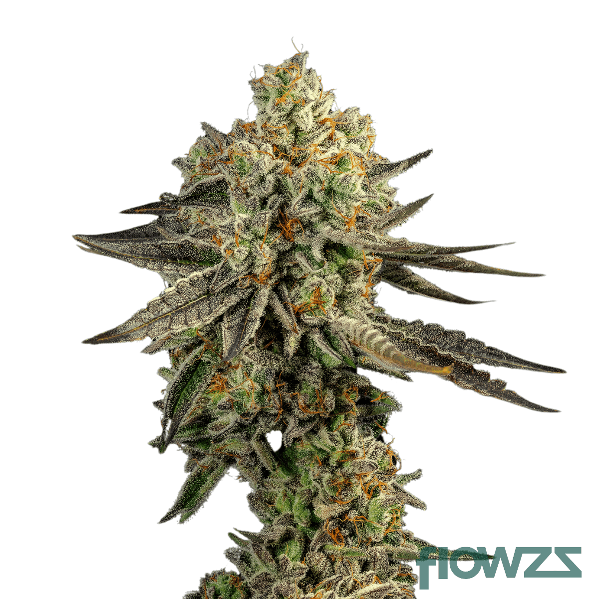 upside-down-cake-cannabis-strain