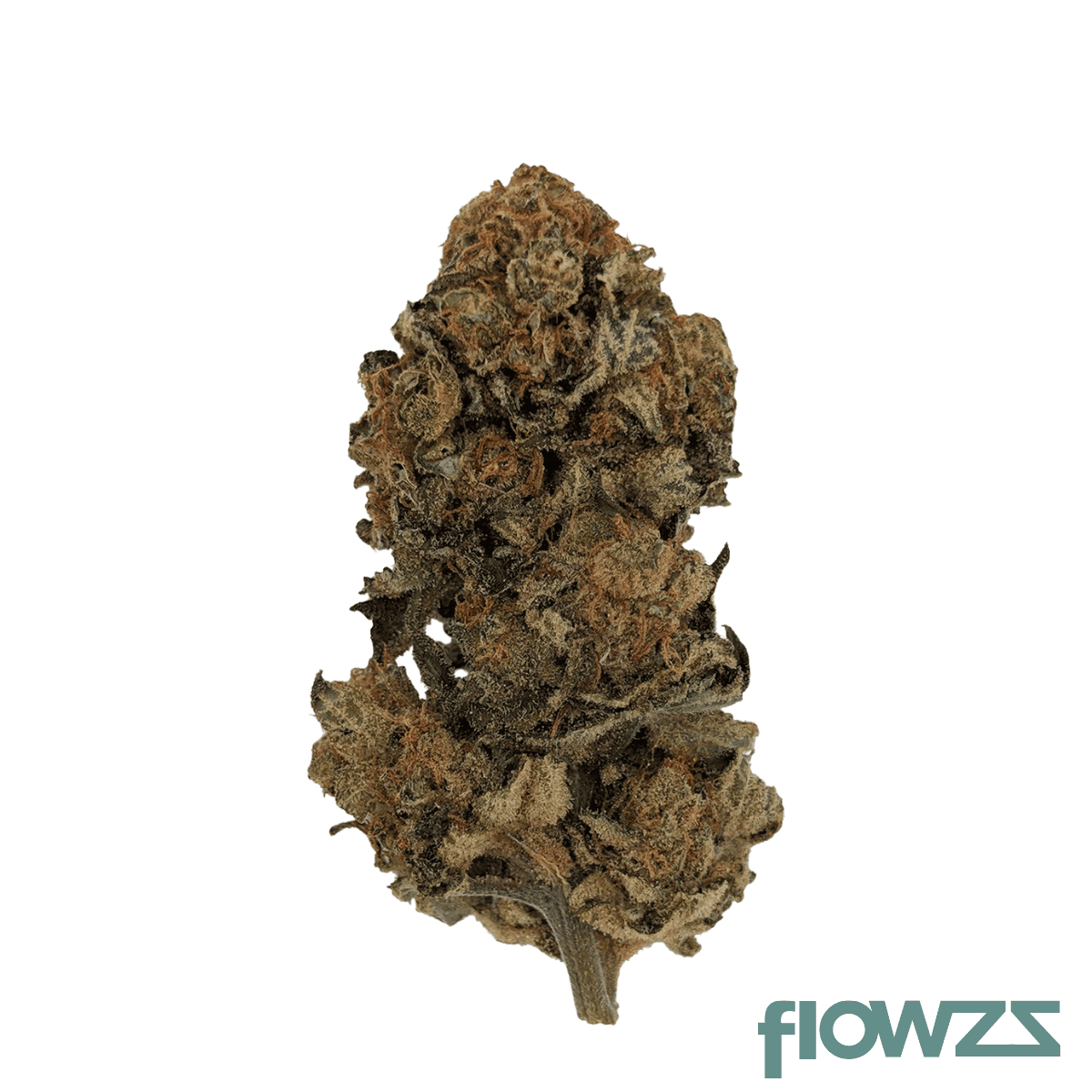 sibanax-shb-28-1-shishkaberry