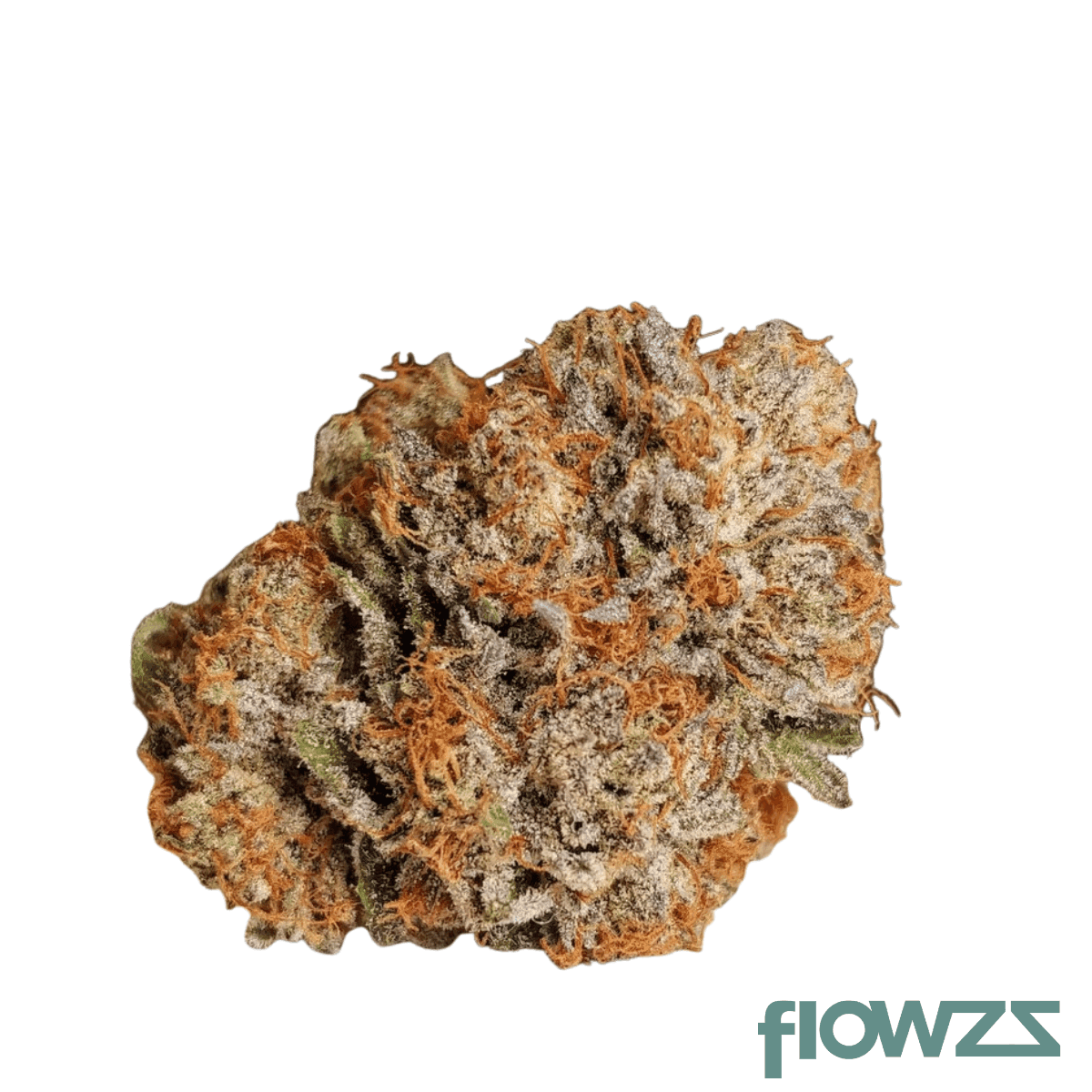 aleph-ruby-21-1-kosher-tangie