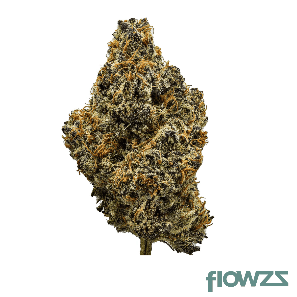 cannamedical-sativa-light-lavender-clouds