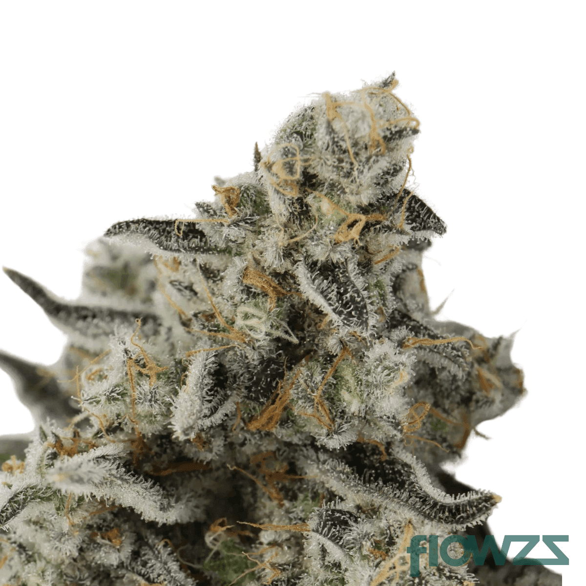 top-5-cannabis-strain