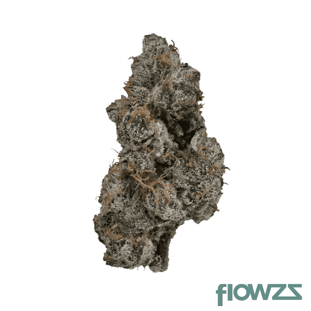 enua-20-1-bnr-ca-blue-nerdz