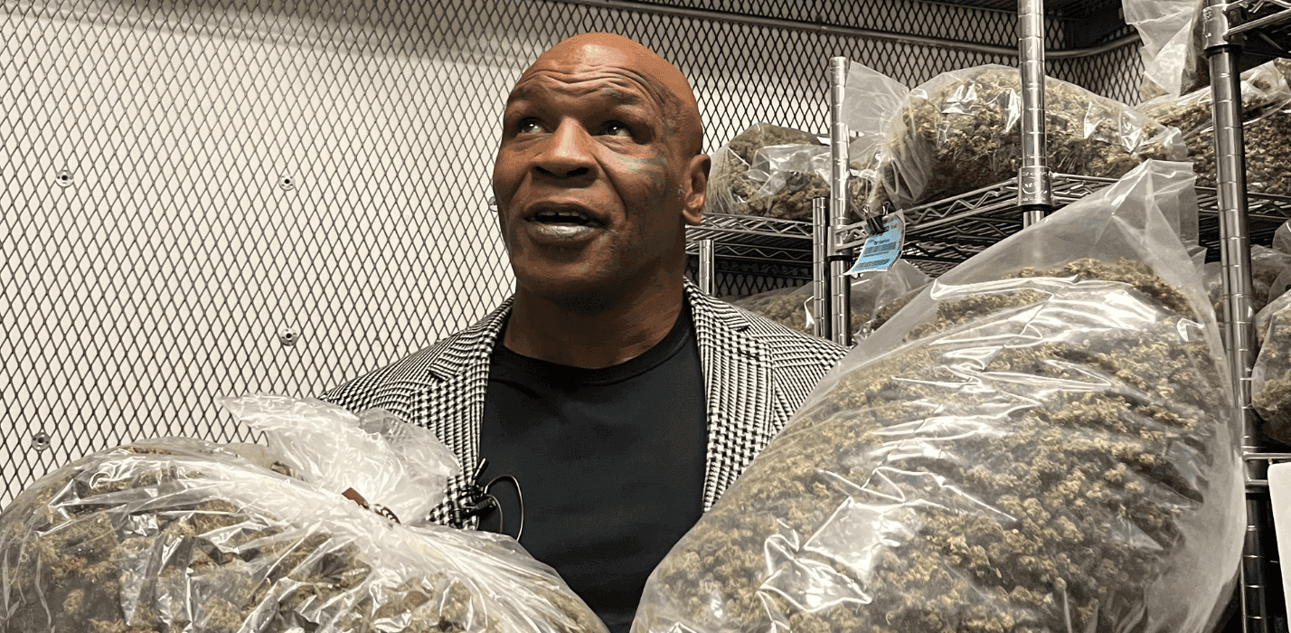 tyson-2-0-medical-cannabis-flowers-hero-4