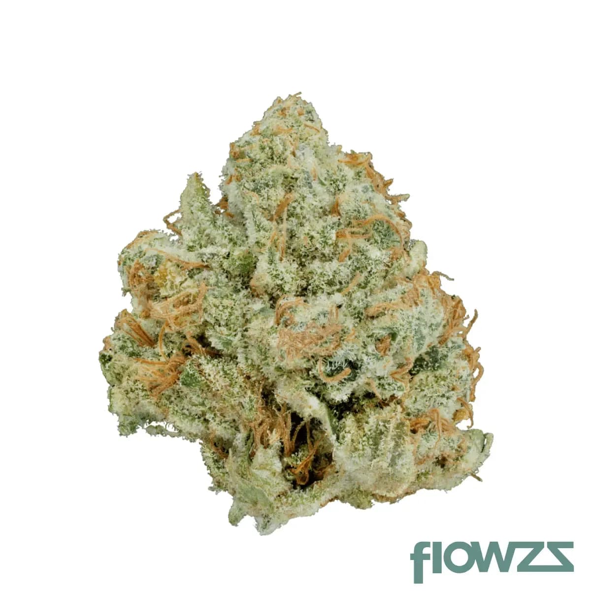 weeco-22-1-kiku-kings-kush