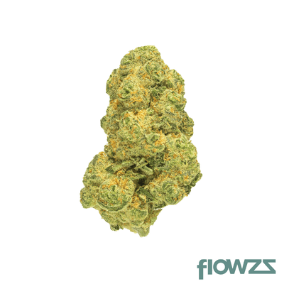 pedanios-31-1-cos-ca-cosmic-cream