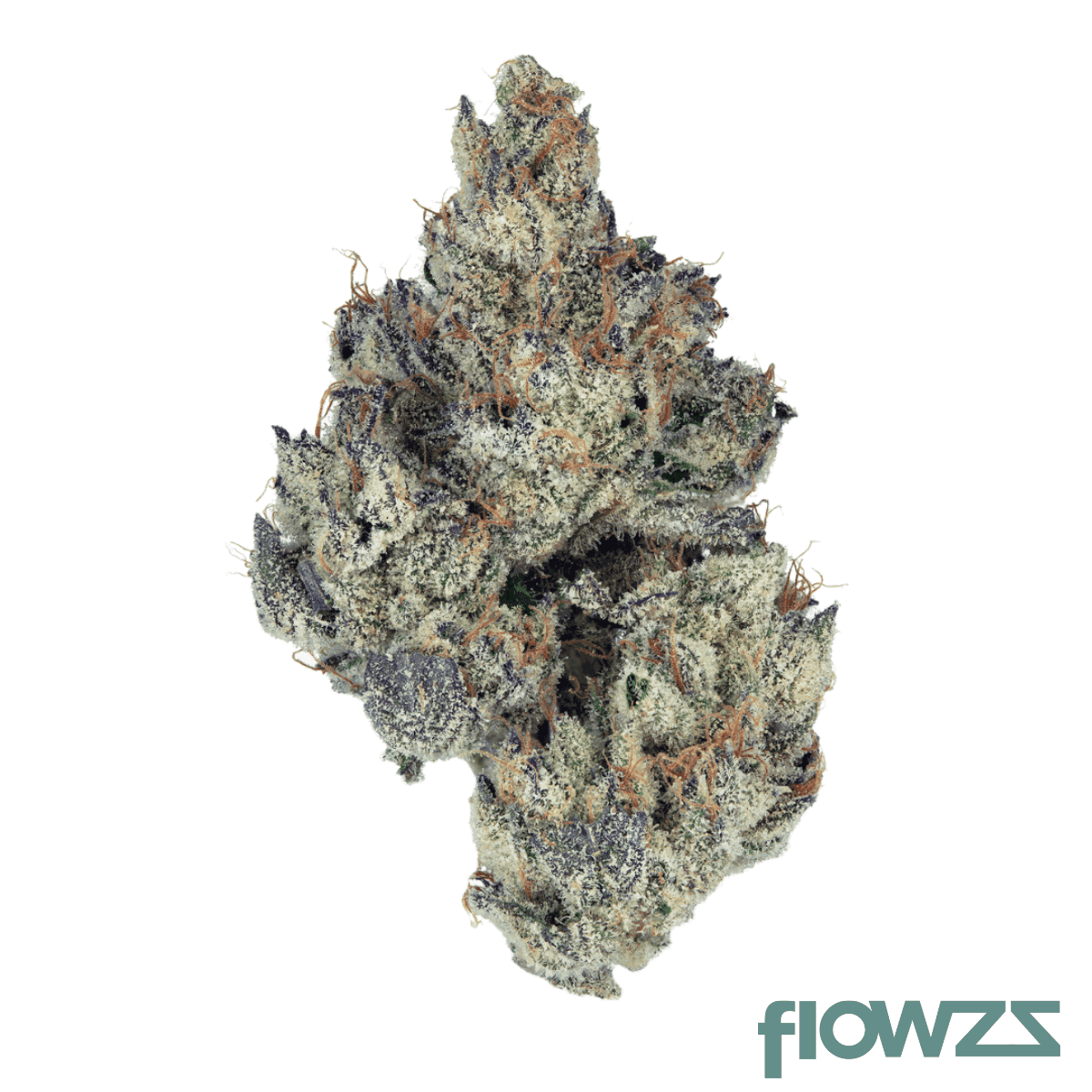 nedcann-hs-20-01-white-runtz