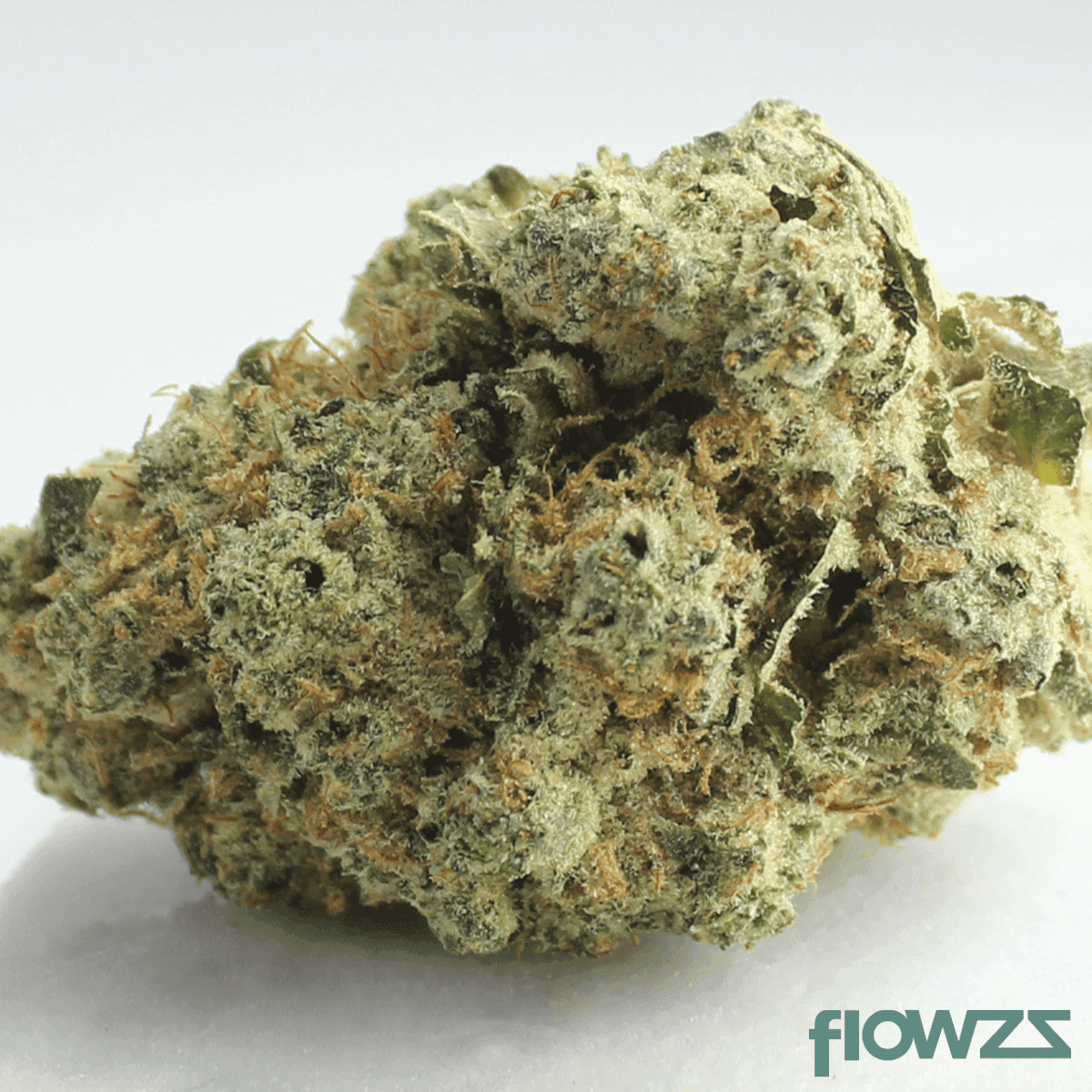 Grünhorn BC 33/1 Tiger Cake