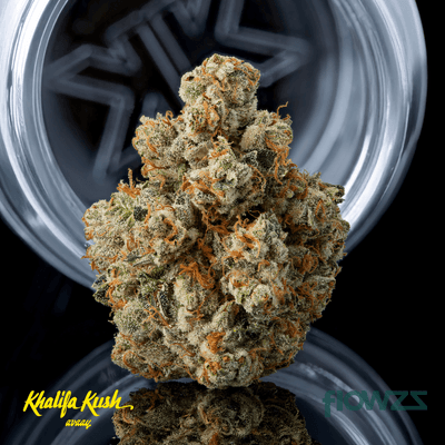 avaay-khalifa-32-1-kk-khalifa-kush
