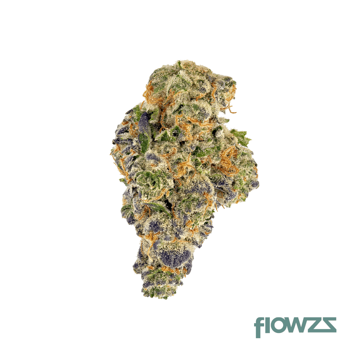 Barongo 30/1 MC Animal Mintz Cross