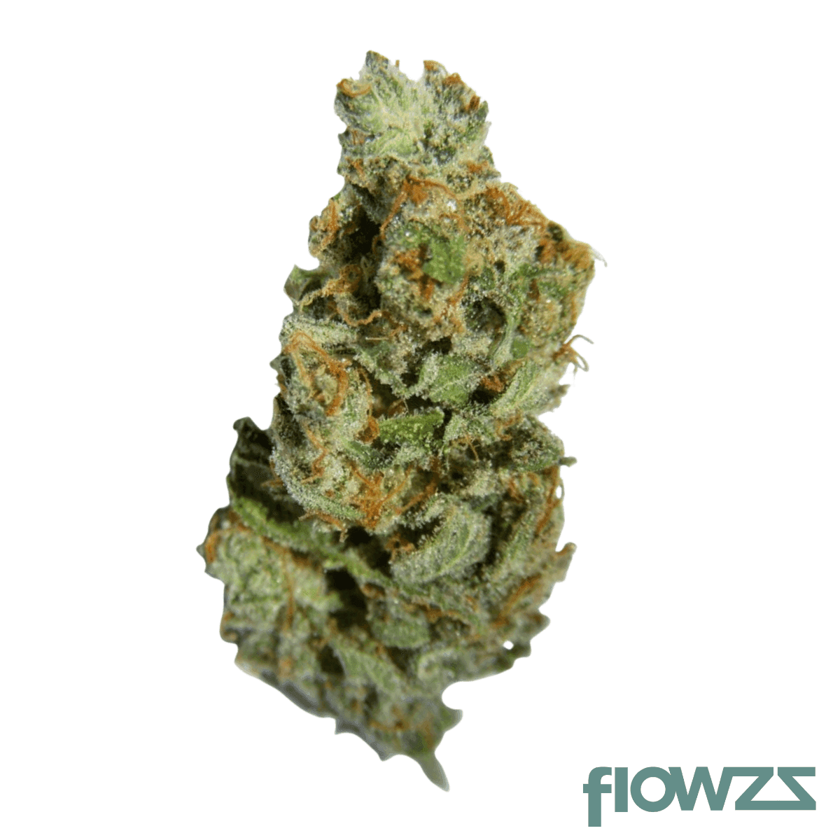 cannamedical-hybrid-light-nm-casey-jones