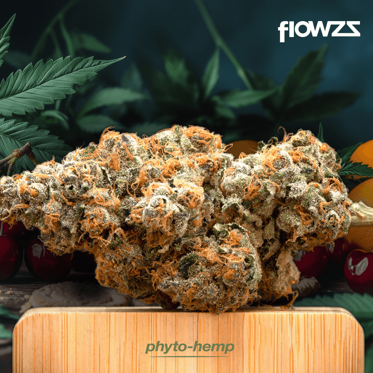 phyto-hemp-phcc-20-1-cherry-cookies-g1