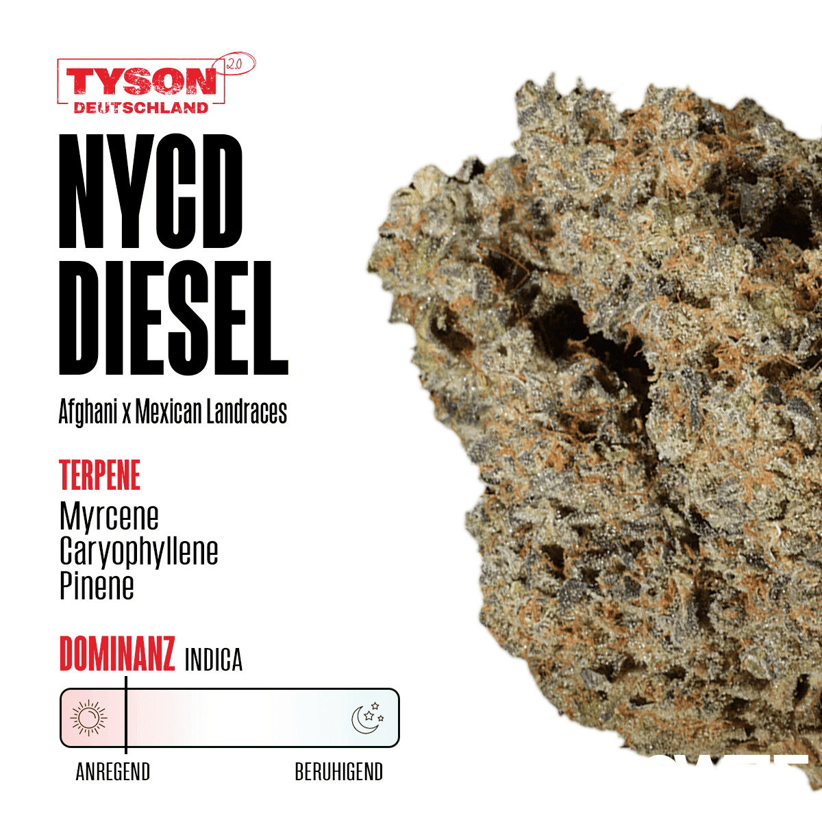 NYC Diesel