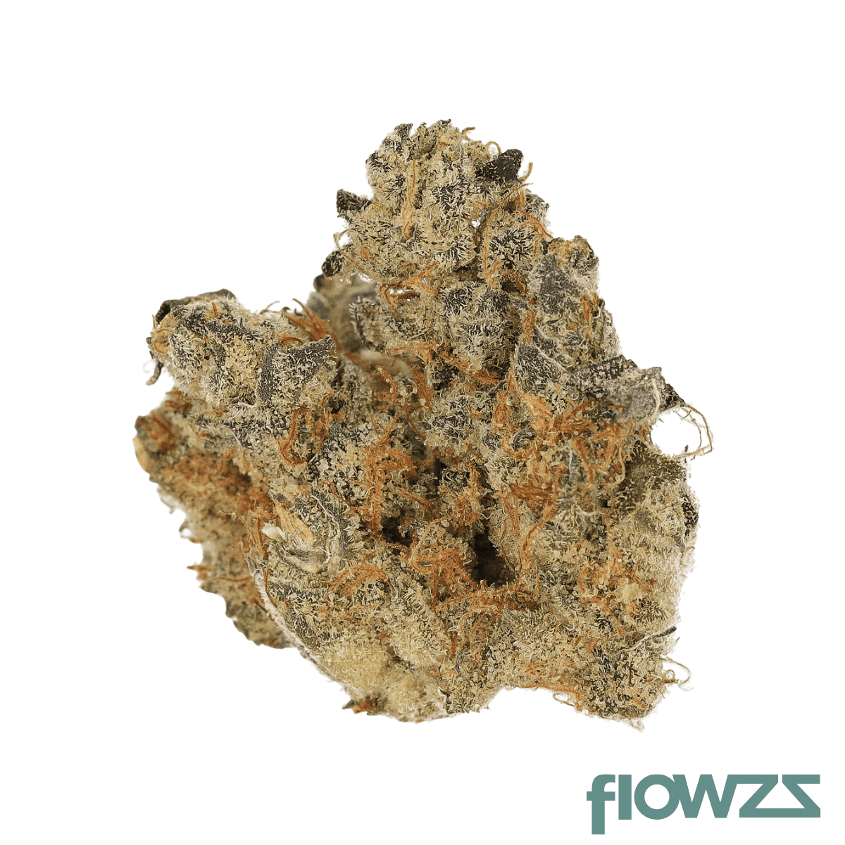 cannamedical-cm-31-1-spc-space-cake