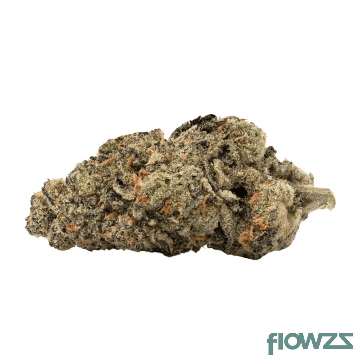 CNBS BTY GP 30/1 Better Than Your Gary Payton