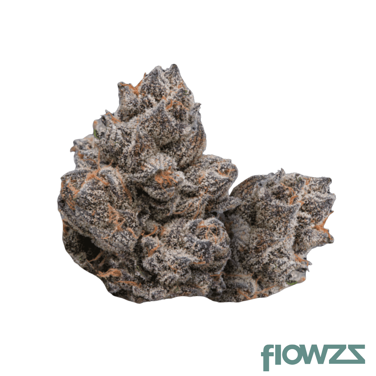 mgf-pop-up-no-8-9-7-a-und-b-x-harley-tus