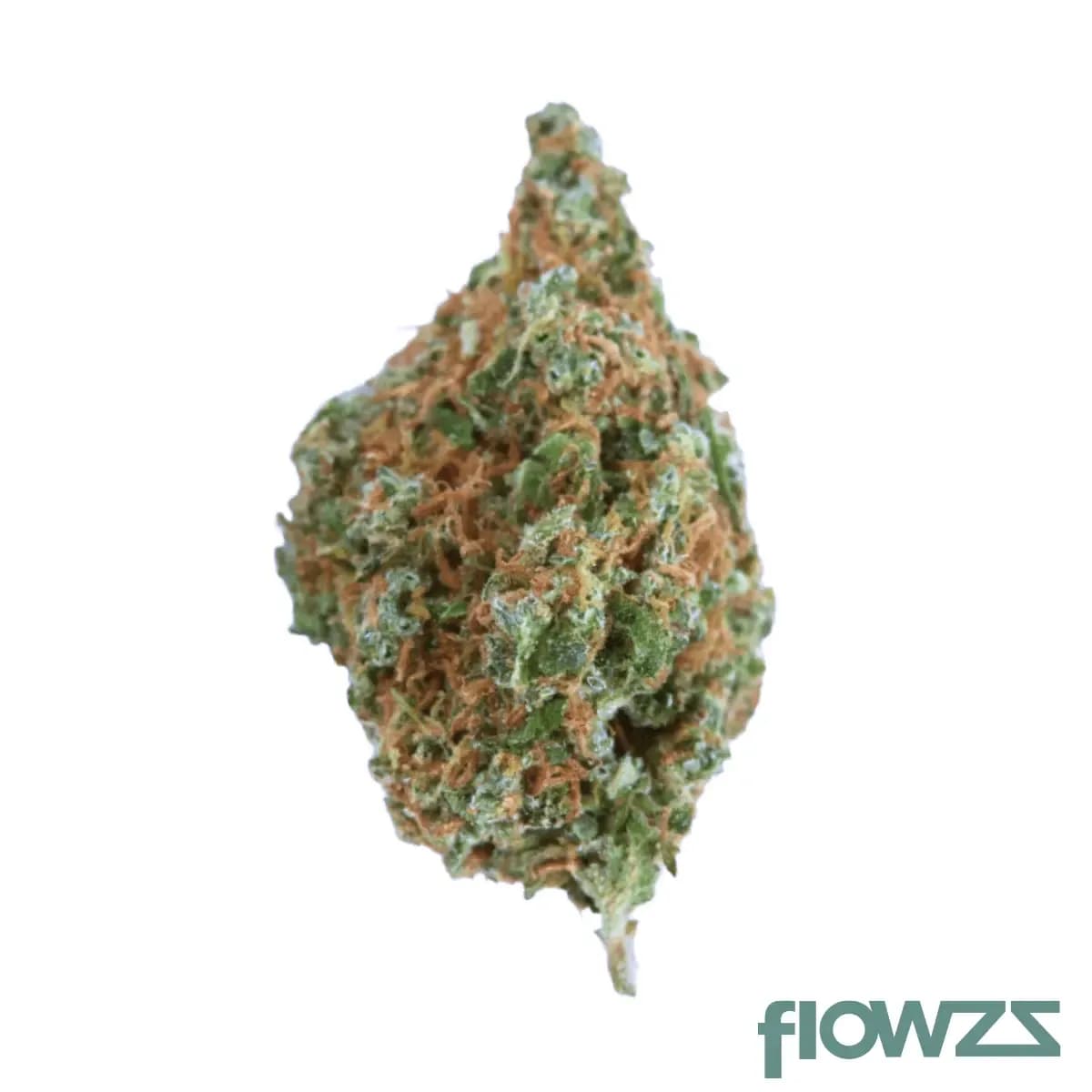 remexian-24-1-hma-pyw-peyote-wifi