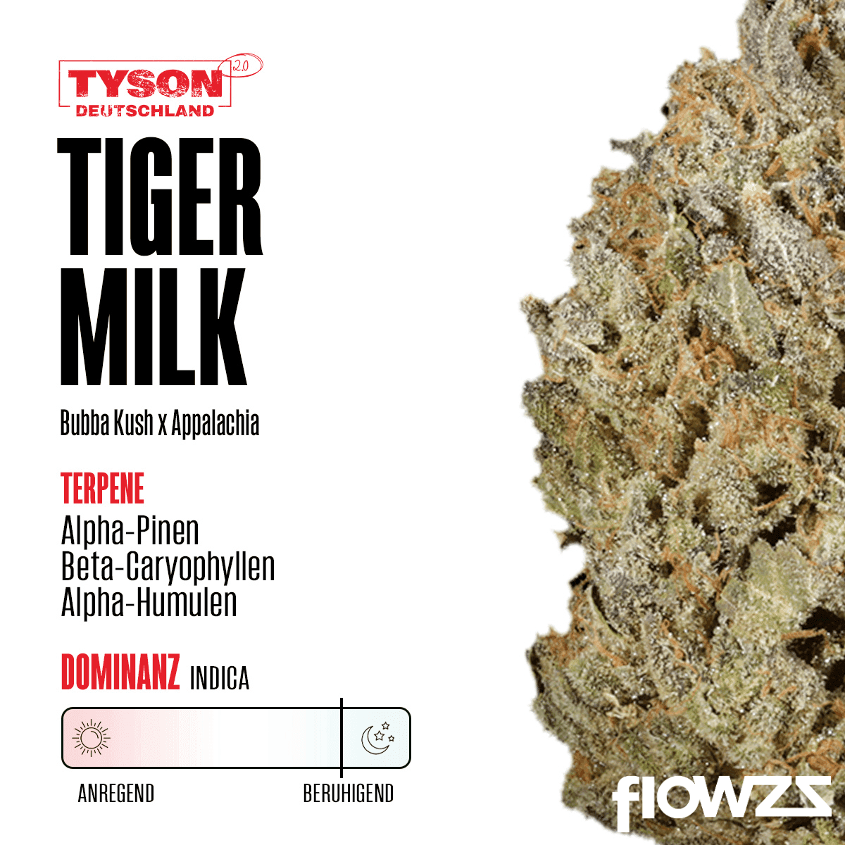 Tiger Milk