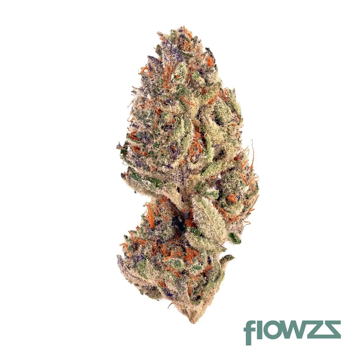 enua-30-1-slc-ca-slurricane