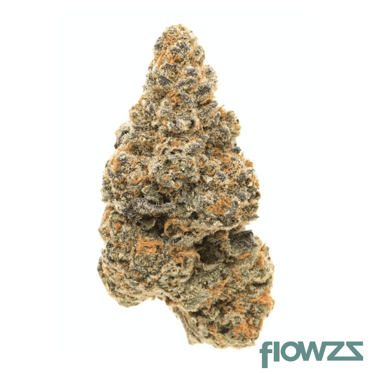 beacon-30-1-gc-garlic-cookies